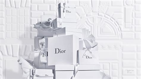 buy dior clothes|dior official online store.